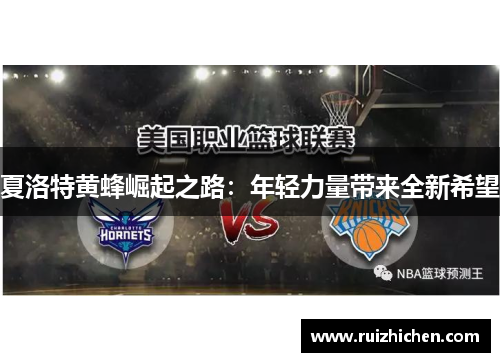 夏洛特黄蜂崛起之路：年轻力量带来全新希望