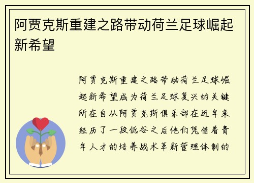 阿贾克斯重建之路带动荷兰足球崛起新希望