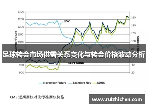 足球转会市场供需关系变化与转会价格波动分析 足球转会市场供需关系变化与转会价格波动分析